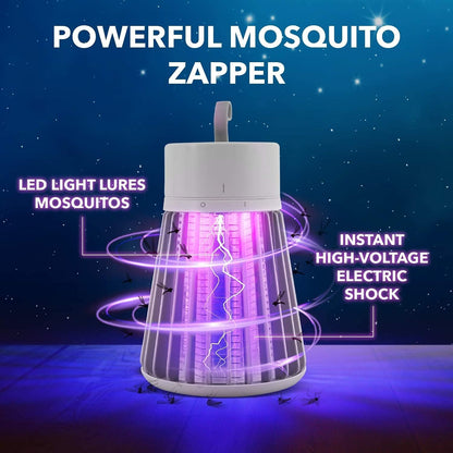 Electromagnetic insect repellent heater against bed bugs