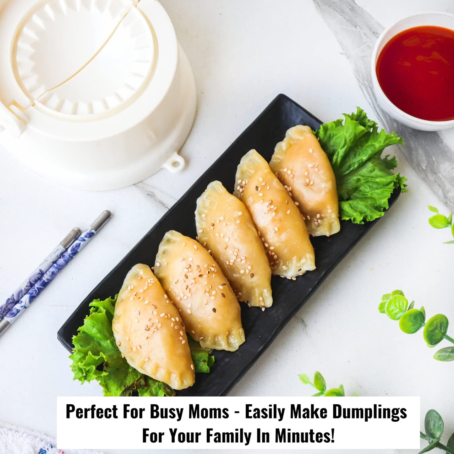 2 in 1 Dumpling Mo mos maker