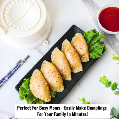 2 in 1 Dumpling Mo mos maker